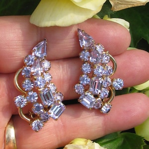 Può includere: Un paio di orecchini vintage con strass lavanda e dettagli in metallo dorato. Gli orecchini presentano un gruppo di strass viola chiaro di varie dimensioni in un design a cascata. Gli orecchini sono ambientati su uno sfondo di fiori gialli e fogliame verde.