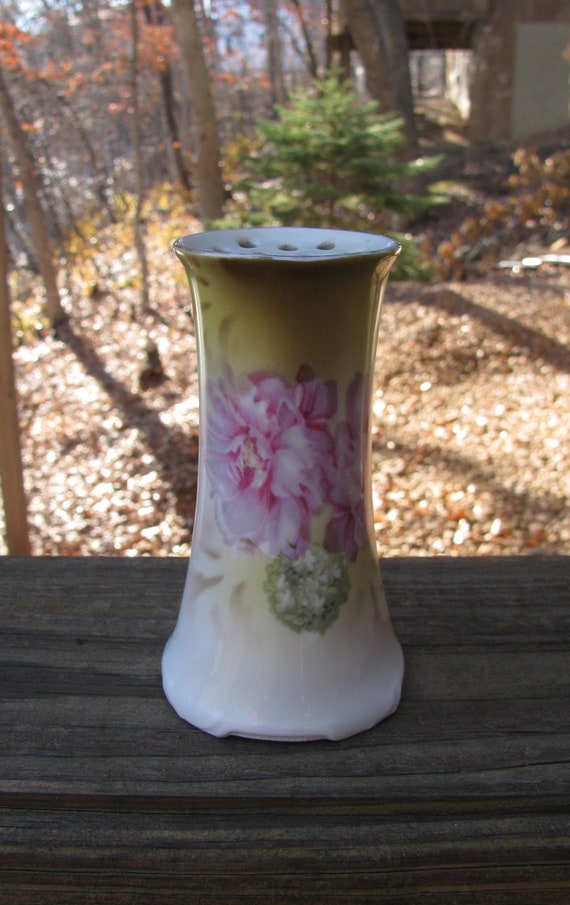 Lovely Antique Victorian RS Germany Stamped Hand Painted Porcelain