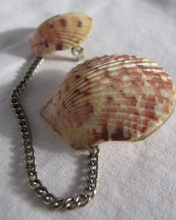 Amazing Handmade Carded Double Cockle Shell Chain… - image 5