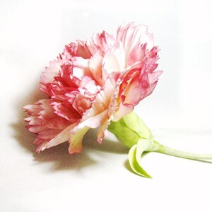 Professional Japanese set (7 pieces) brush for making silk flowers and batik. image 5