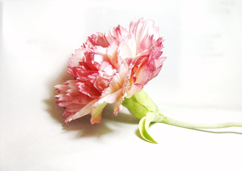 Professional Japanese set (7 pieces) brush for making silk flowers and batik. image 5