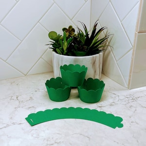 Green Scalloped Cupcake Wrappers: St Patricks Day Liners