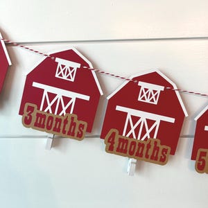 Rustic Farm 1st Birthday Photo Banner: 12 Month Milestone Garland