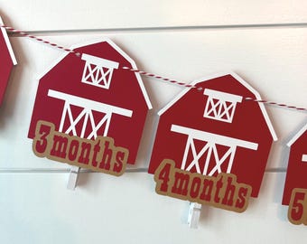 Rustic Farm 1st Birthday Photo Banner: 12 Month Milestone Garland