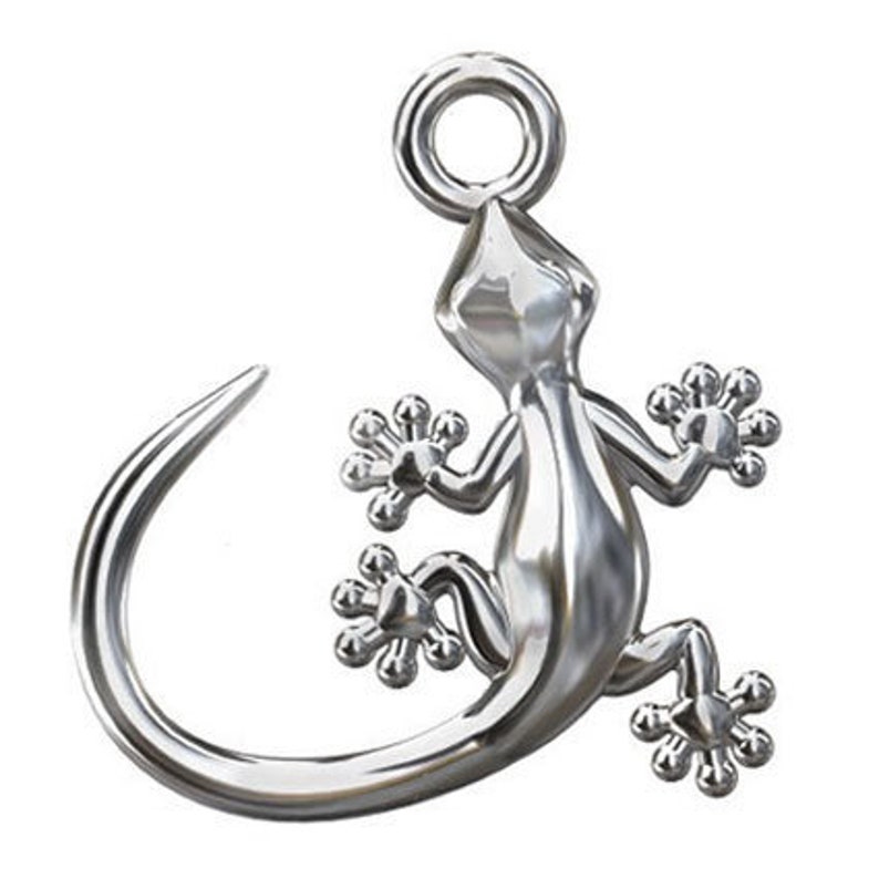 wizards lizard charm wizards lizard charm