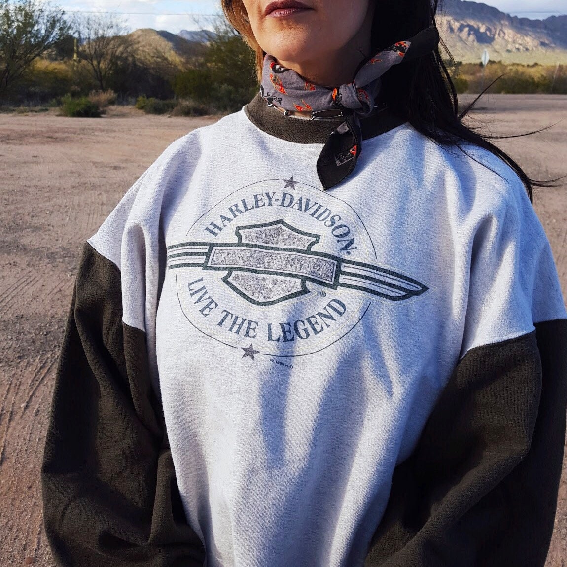 grey harley davidson jumper