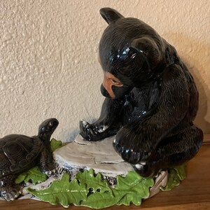 Black bear with turtle