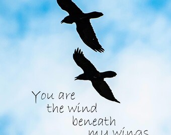 Crows In Flight with "You are the wind beneath my wings" saying 8X12 Metal Print