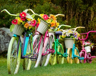 A Bicycle Family of Flower Petal Peddlers; Double-matted Photograph of Michigamme, Michigan welcome display