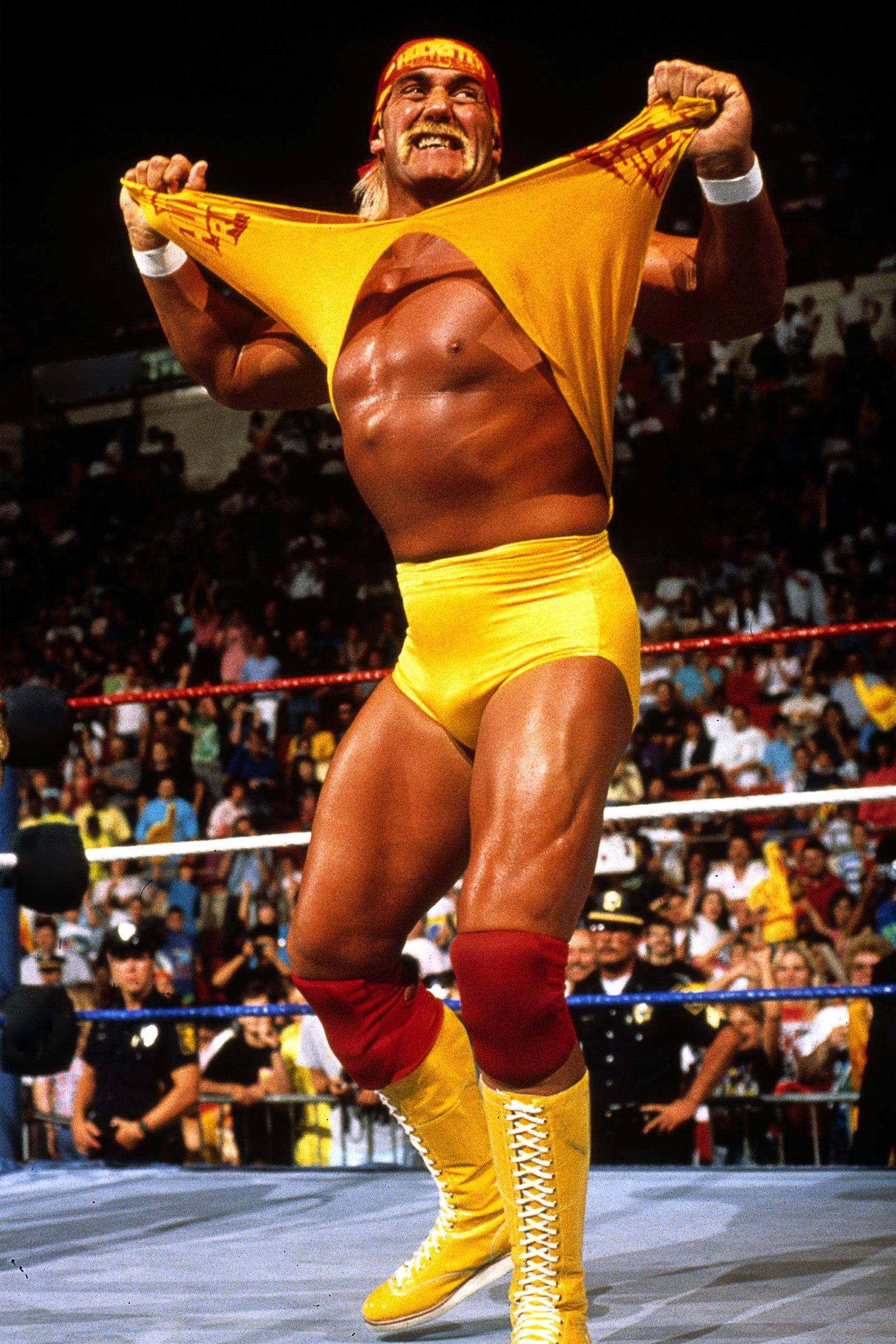 Hulk Hogan Wrestling Ring Poster - Etsy