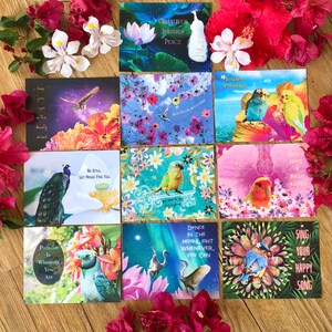 Inspire Paradise Birdies for LA Fires-briefkaartcampagne, 10 prachtige vogels-bloemenkaarten om op te fleuren, voordelen directe hulp voor LA Fires