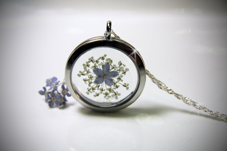 May include: A silver locket necklace with a clear glass insert containing a pressed blue flower and white flower buds. The chain is silver and has a delicate design.