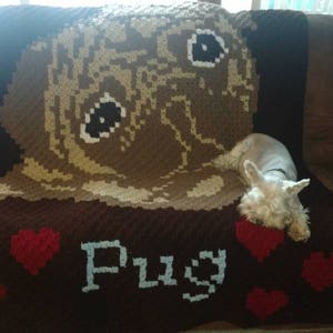 May include: A brown and tan crocheted blanket featuring a pug face design, red hearts, and the word "Pug" in white. A small white dog rests on the blanket, which is draped over a brown couch.