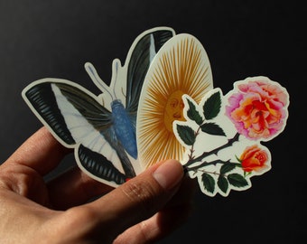 3 Sticker Pack: The Sun, Blue Butterfly and Pink Roses