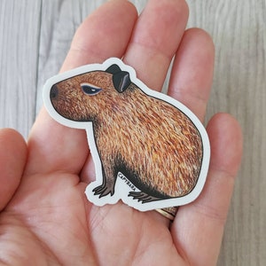 gru meme Sticker for Sale by Capybara Locker