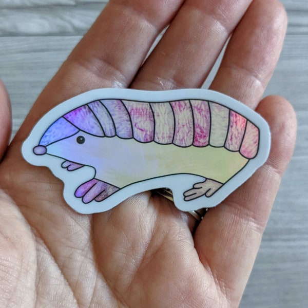 Pink Fairy Armadillo Holographic Sticker