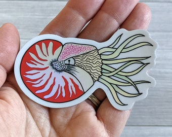 Nautilus Holographic Sticker