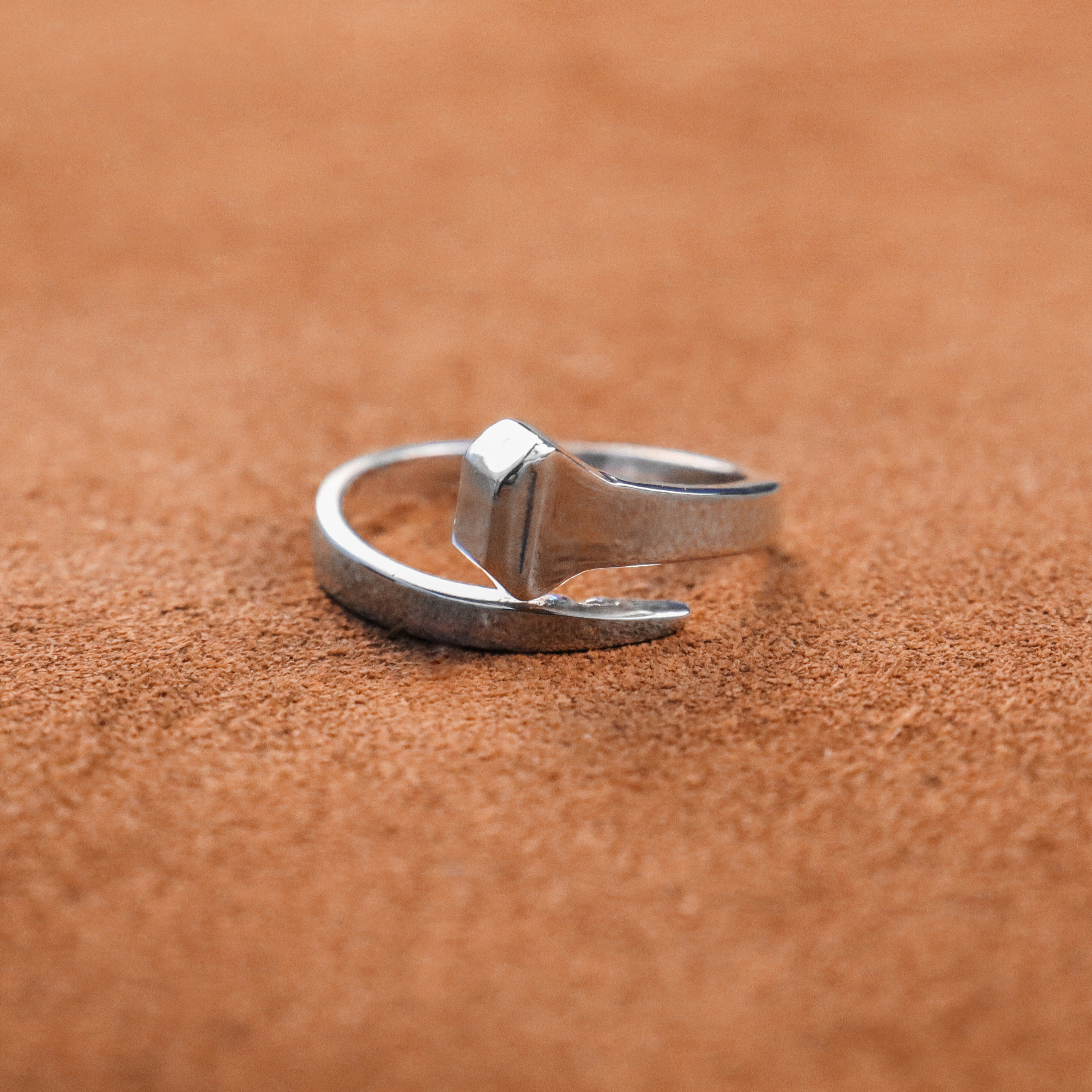 Horseshoe ring (large)