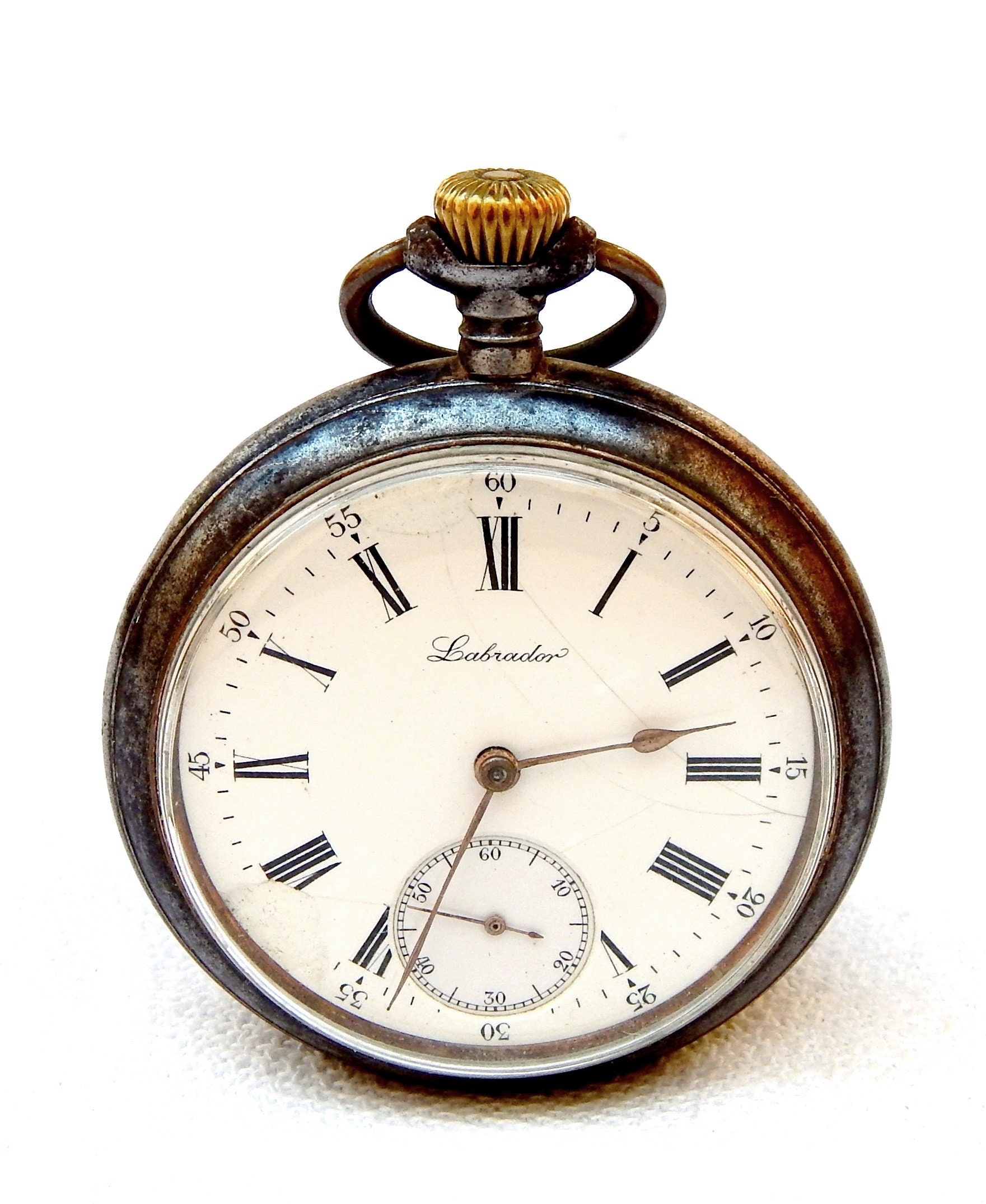 Omega labrador pocket watch sales