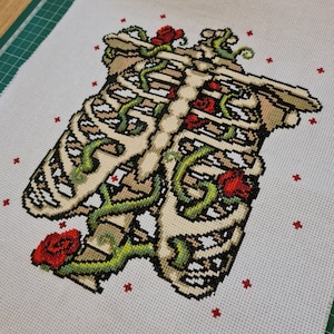 Könnte beinhalten: Kreuzstich-Stickerei einer mit Ranken und roten Rosen umrankten Rippen. Die Rippen sind beige, die Ranken grün und die Rosen rot.