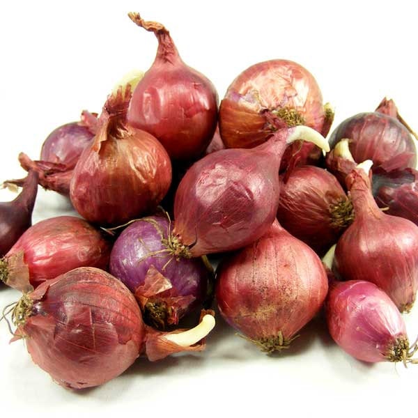 8 oz. Red Onion Sets Naturally Grown | Red Baron Onion Bulbs - Non-GMO - Grow All Year | Plant in the Garden or Potted in a Window
