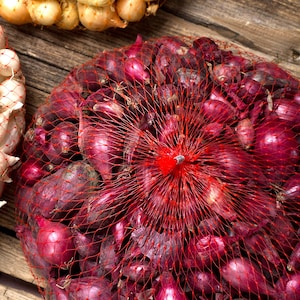 Red Onion Sets Naturally Grown | 50 - 60 Red Baron Onion Bulbs  - Non-GMO - Grow All Year Inside or Out - Pre-Order for Fall Shipping