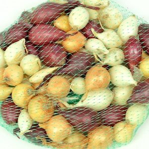 Mixed Red White & Yellow Onion Sets Naturally Grown Non-GMO | 50 Plus Onion Bulbs - Grow All Year | Plant in the Garden or Potted