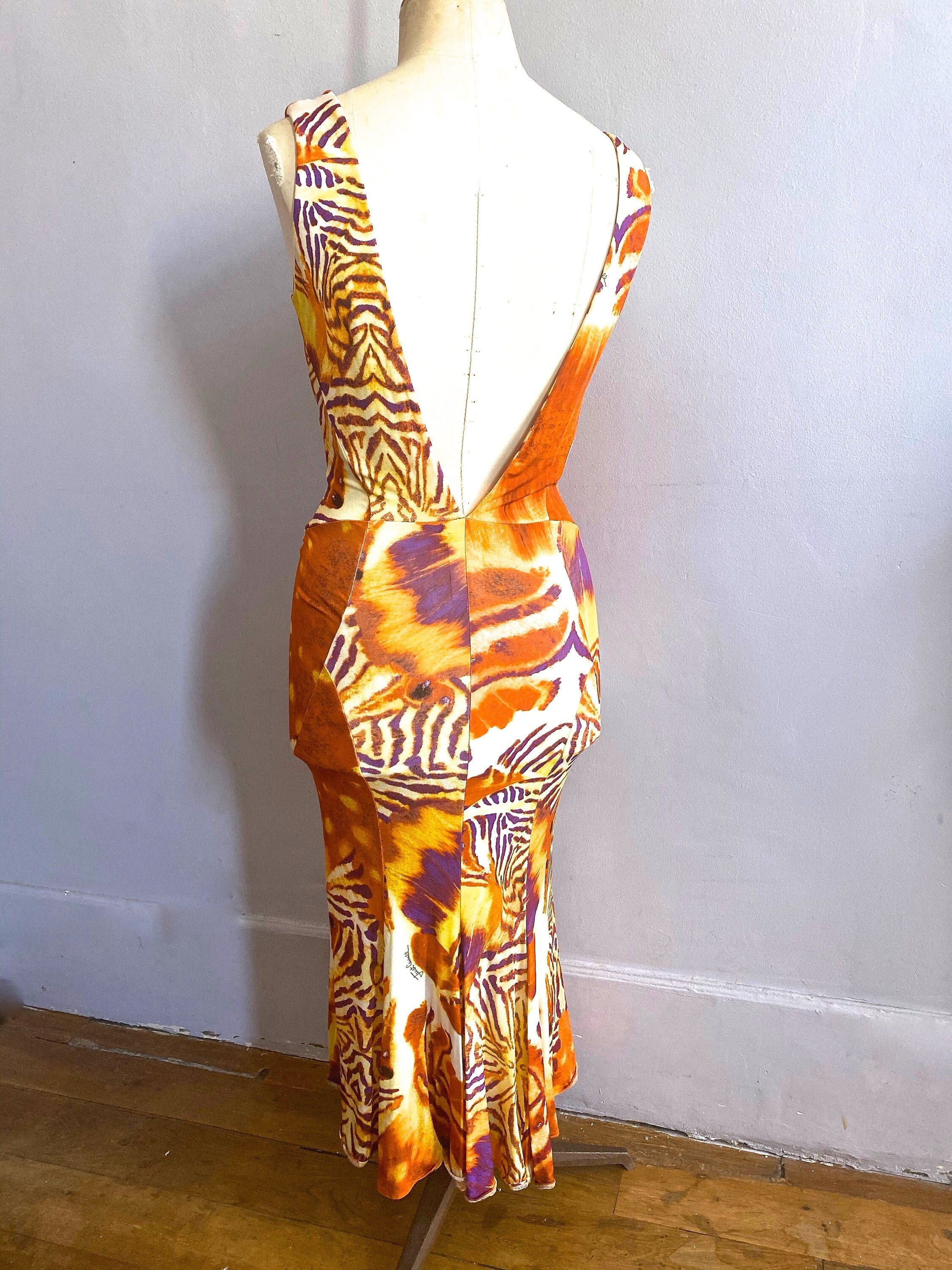 RESERVED - Do Not Buy - Roberto Cavalli Tiger Stripe Dress RESERVED - Do Not Buy - Roberto Cavalli Tiger Stripe Dress