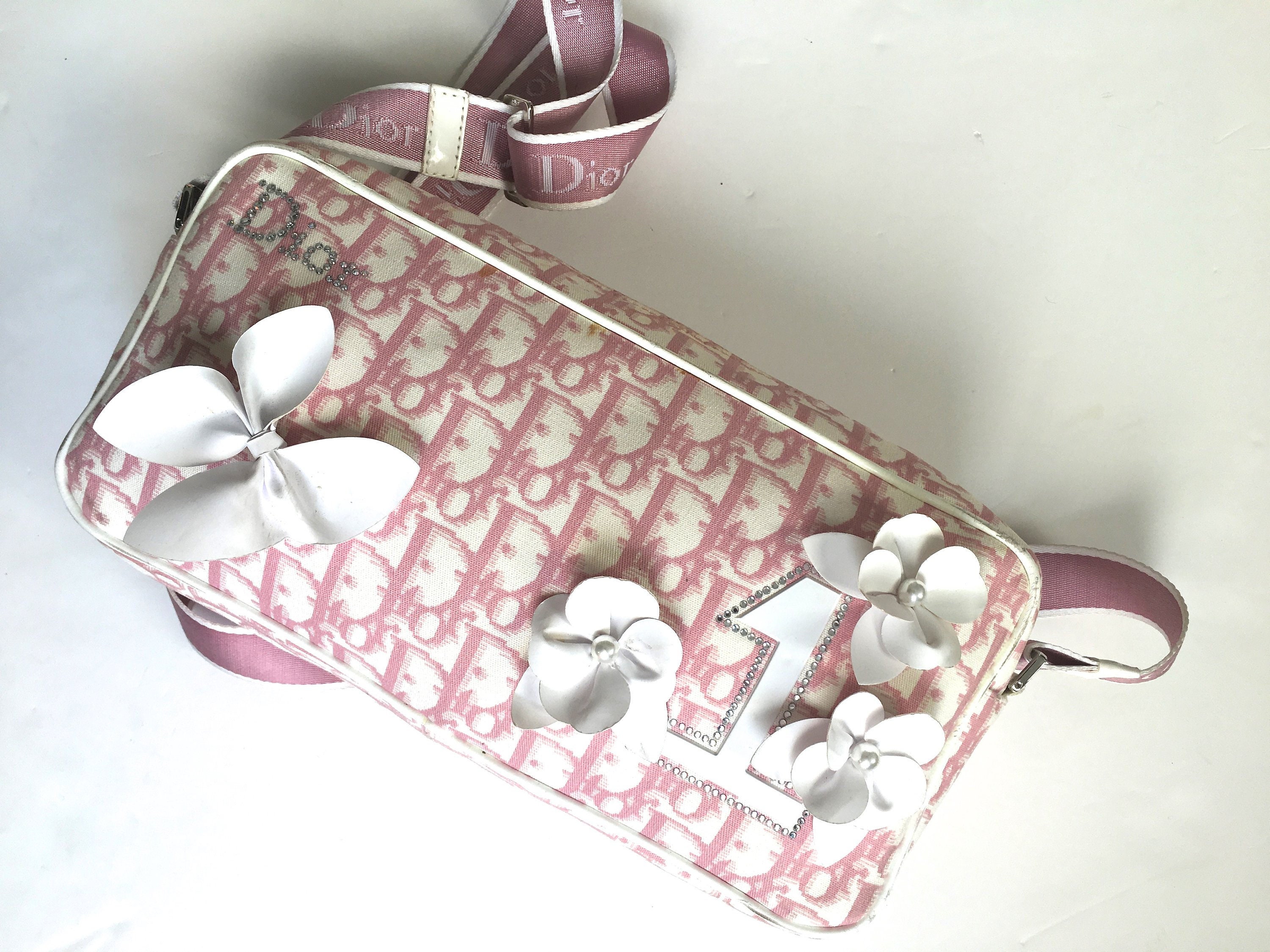 dior crossbody bag pink