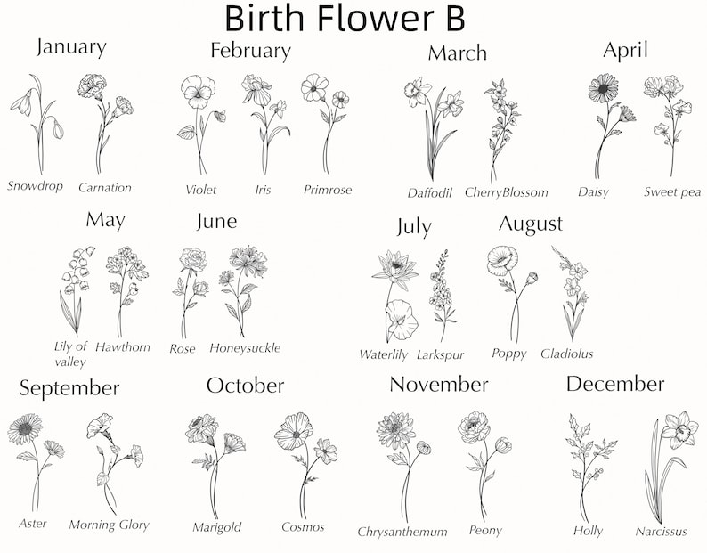 May include: A black and white line drawing illustration of birth flowers for each month of the year. The flowers are arranged in a grid with the month name above each flower. The flowers include snowdrop, carnation, violet, iris, primrose, daffodil, cherry blossom, daisy, sweet pea, lily of the valley, hawthorn, rose, honeysuckle, waterlily, larkspur, poppy, gladiolus, aster, morning glory, marigold, cosmos, chrysanthemum, peony, holly, and narcissus.
