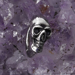 16g 8mm Skull Clicker Rook Eyebrow Piercing Curved 316L Surgical Steel Barbell Body Jewelry No Rust