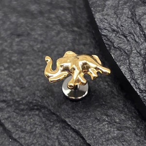 Titanium ASTM F136 Gouden Olifant Threadless Top Labret Barbell Piercing Conch Flat Kraakbeen Helix Labret Monroe