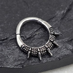 16g 8 mm 316L Aço Cirúrgico Segmento Articulado Septo Hélice Piercing Cartilagem Daith Hoop Piercing Anel