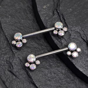 Pair of 14g 14mm Implant Grade Titanium Nipple Barbells with Classic Paw AB Rainbow CZ Bezel Set Internal Thread Ends