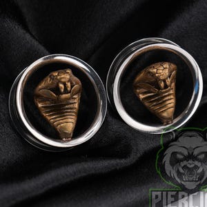 May include: A pair of circular ear plugs featuring a polished silver-tone metal rim and a three-dimensional bronze-colored cobra snake head centered within each piece. The snake design displays detailed scales and an open hood, creating a distinct contrast against the smooth, reflective silver metal of the circular tunnel body.