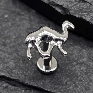 Titanium ASTM F136 Camel Threadless Labret Barbell Piercing Conch Platte Helix Helix Labret Monroe