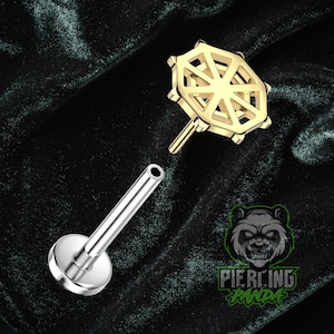 14k Gold Fadenloses Spinnennetz Mit Titan ASTM F136 Flach Labret Barbell Pin Piercing Conch Tragus Knorpel Helix Nase Halloween