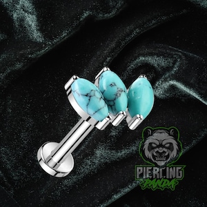 16g Titânio ASTM F136 Grau 23 Pedra Turquesa Rosca Interna Disco Inferior Pequeno Tragus Hélice Concha Cartilagem Brinco Labret Barbell