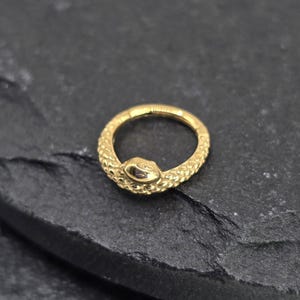 16g 8 mm 10 mm Snake Gold PVD Banhado Aço Cirúrgico 316L Segmento Articulado Septo Hélice Piercing Cartilagem Daith Hoop Piercing Anel