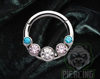 16g Titanium ASTM F136 Transgender Blue Pink Implant Grade Hinged Segment Clicker Septum Helix Piercing Cartilage Daith Hoop Trans Ring