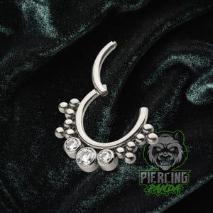 16g Titanium ASTM F136 White CZ Implant Grade Hinged Segment Septum Helix Piercing Cartilage Daith Hoop Piercing Ring