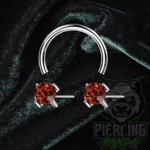 May include: A silver-toned circular horseshoe barbell body jewelry piece featuring two vibrant, round-cut red gemstones set in prong settings at each end of the curved metal bar, designed for various body piercings with a polished metallic finish.