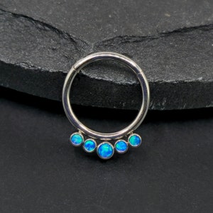 16g Titanium ASTM F136 Hand Polished Hinged Clicker Segment Hoop Septum Daith Helix Cartilage Piercing