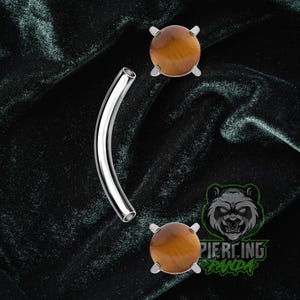 16g Titanium Natural Tiger's Eye Implant Grade ASTM F136 Curved Barbell Internal Threads | Rook Ashley Vertical Labret Eyebrow Piercing