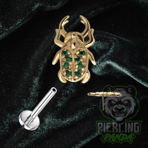 May include: Gold-colored beetle-shaped body jewelry with green gemstones. A silver-colored piercing stud is also shown. The image is set against a dark green background. The text "Piercing Panda" is visible.