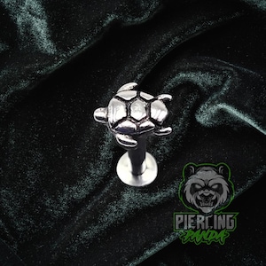 16g Internal Thread Turtle Polished 316L Surgical Steel Small Bottom Disc Tragus Helix Conch Cartilage Labret Barbell