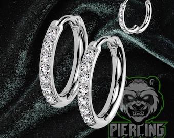 18g Titanium ASTM F136 Pair of Implant Grade Titanium 2mm Thick Hinged Round Hoop With CNC Set CZ Earrings