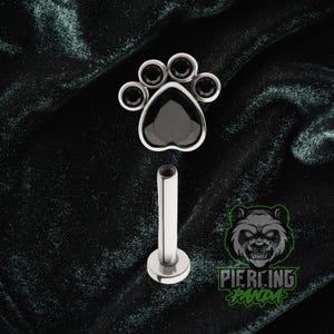 16g ASTM F136 Grade 23 Titan Innengewinde Hund Katze Pfote Schwarz CZ Gem Tragus Helix Conch Knorpel Ohrring Labret Barbell
