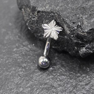 16g Titanium 6AL4V ELi ASTM F136 Curved Barbells With Internally Threaded Shooting Star | Rook Eyebrow Piercing