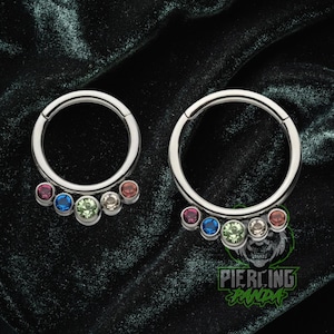 16g Titanium Rainbow Pride Implant Grade Hinged Segment Clicker Septum Helix Piercing Cartilage Daith Hoop Piercing Ring